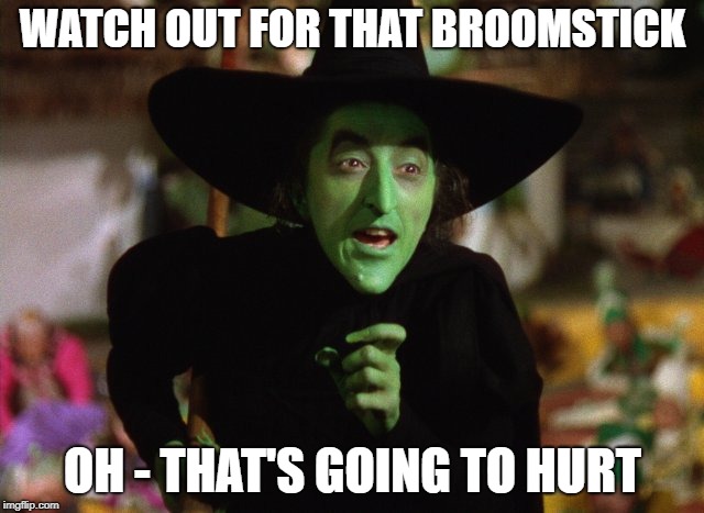 WickedWitch | WATCH OUT FOR THAT BROOMSTICK; OH - THAT'S GOING TO HURT | image tagged in wickedwitch | made w/ Imgflip meme maker
