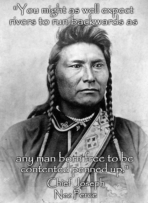 Chief Joseph - Nez Perce | "You might as well expect; rivers to run backwards as; any man born free to be; contented penned up."; Chief Joseph; Nez Perce | image tagged in native american,native americans,indians,inian chief,indian chiefs,tribe | made w/ Imgflip meme maker