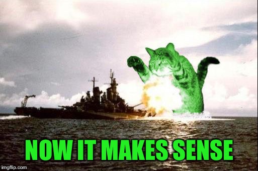 RayCatzilla | NOW IT MAKES SENSE | image tagged in raycatzilla | made w/ Imgflip meme maker