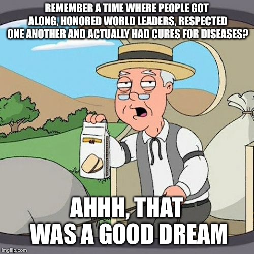Pepperidge Farm Remembers | REMEMBER A TIME WHERE PEOPLE GOT ALONG, HONORED WORLD LEADERS, RESPECTED ONE ANOTHER AND ACTUALLY HAD CURES FOR DISEASES? AHHH, THAT WAS A GOOD DREAM | image tagged in memes,pepperidge farm remembers | made w/ Imgflip meme maker