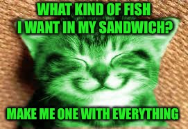 happy RayCat | WHAT KIND OF FISH I WANT IN MY SANDWICH? MAKE ME ONE WITH EVERYTHING | image tagged in happy raycat | made w/ Imgflip meme maker