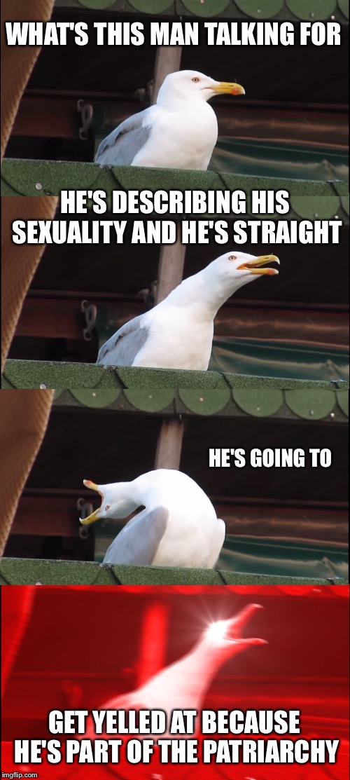 Inhaling Seagull Meme | WHAT'S THIS MAN TALKING FOR HE'S DESCRIBING HIS SEXUALITY AND HE'S STRAIGHT HE'S GOING TO GET YELLED AT BECAUSE HE'S PART OF THE PATRIARCHY | image tagged in memes,inhaling seagull | made w/ Imgflip meme maker