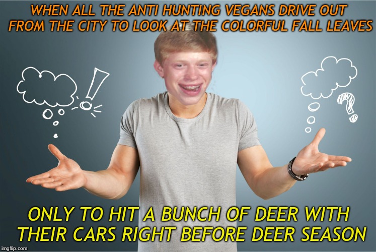 Sadly this has become such a thing around here that auto body places have adds about it now.... | WHEN ALL THE ANTI HUNTING VEGANS DRIVE OUT FROM THE CITY TO LOOK AT THE COLORFUL FALL LEAVES; ONLY TO HIT A BUNCH OF DEER WITH THEIR CARS RIGHT BEFORE DEER SEASON | image tagged in bad luck shrug,vegans,drive thru,deer in headlights | made w/ Imgflip meme maker