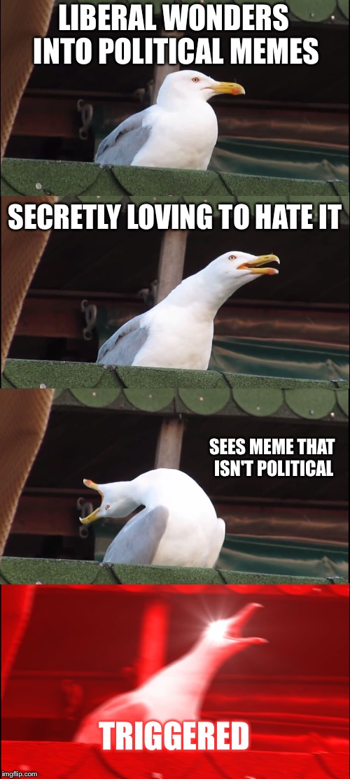 Inhaling Seagull Meme | LIBERAL WONDERS INTO POLITICAL MEMES SECRETLY LOVING TO HATE IT SEES MEME THAT ISN'T POLITICAL TRIGGERED | image tagged in memes,inhaling seagull | made w/ Imgflip meme maker