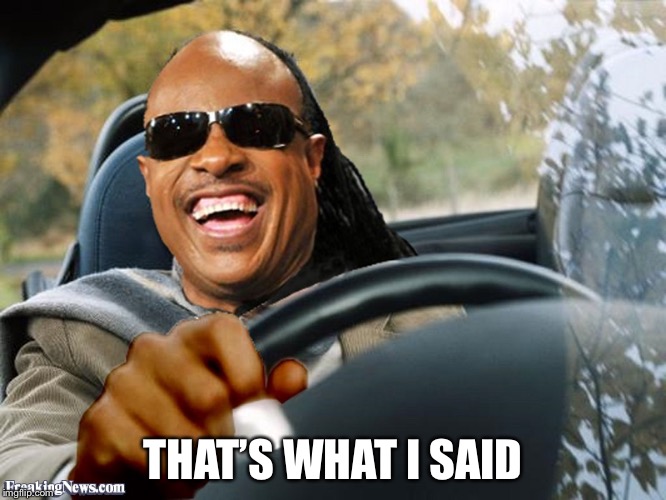 Stevie Wonder Driving | THAT’S WHAT I SAID | image tagged in stevie wonder driving | made w/ Imgflip meme maker