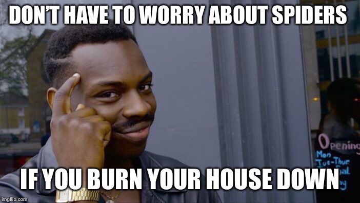 Roll Safe Think About It Meme | DON’T HAVE TO WORRY ABOUT SPIDERS; IF YOU BURN YOUR HOUSE DOWN | image tagged in memes,roll safe think about it | made w/ Imgflip meme maker