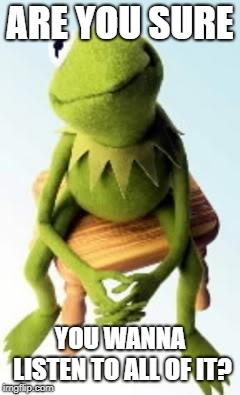 Concerned Kermit | ARE YOU SURE YOU WANNA LISTEN TO ALL OF IT? | image tagged in concerned kermit | made w/ Imgflip meme maker