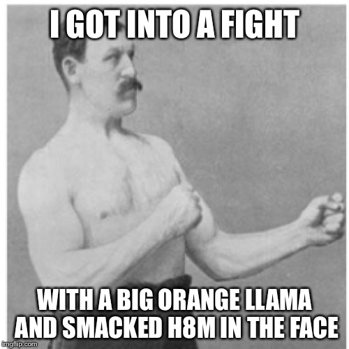 Overly Manly Man Meme | I GOT INTO A FIGHT WITH A BIG ORANGE LLAMA AND SMACKED H8M IN THE FACE | image tagged in memes,overly manly man | made w/ Imgflip meme maker