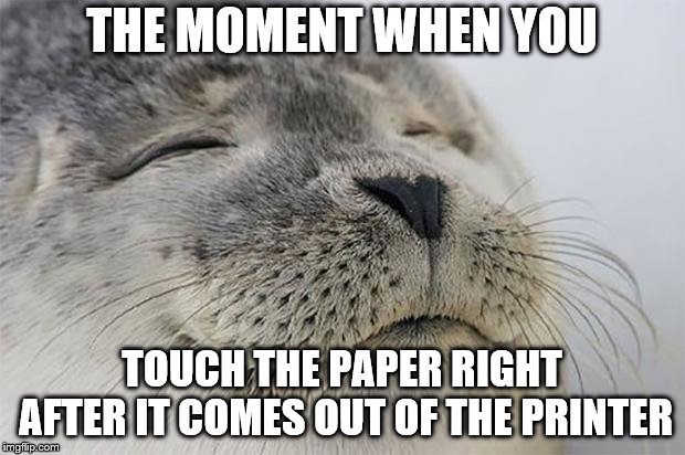 Touch The WARM SATISFYING PAPER! | THE MOMENT WHEN YOU; TOUCH THE PAPER RIGHT AFTER IT COMES OUT OF THE PRINTER | image tagged in memes,satisfied seal,printer paper | made w/ Imgflip meme maker