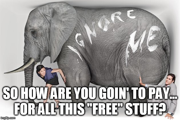 Vote for me, and I'll give you free college and health care. | SO HOW ARE YOU GOIN' TO PAY... FOR ALL THIS "FREE" STUFF? | image tagged in elephant in the room | made w/ Imgflip meme maker