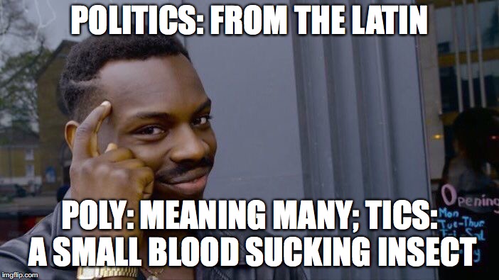 Know your definitions | POLITICS: FROM THE LATIN; POLY: MEANING MANY; TICS: A SMALL BLOOD SUCKING INSECT | image tagged in memes,roll safe think about it | made w/ Imgflip meme maker