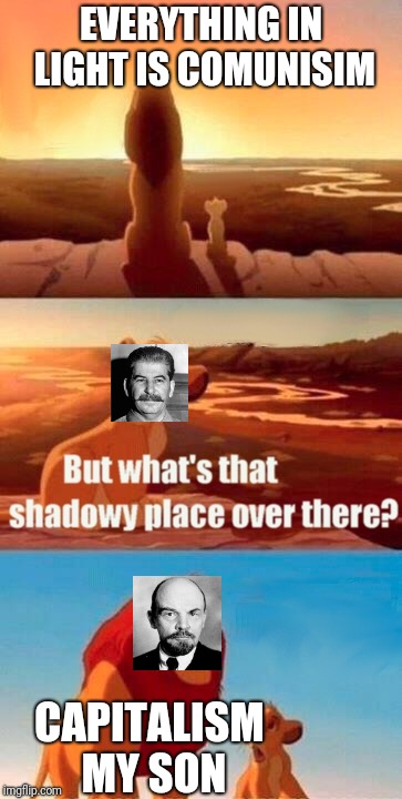 Simba Shadowy Place Meme | EVERYTHING IN LIGHT IS COMUNISIM; CAPITALISM MY SON | image tagged in memes,simba shadowy place | made w/ Imgflip meme maker