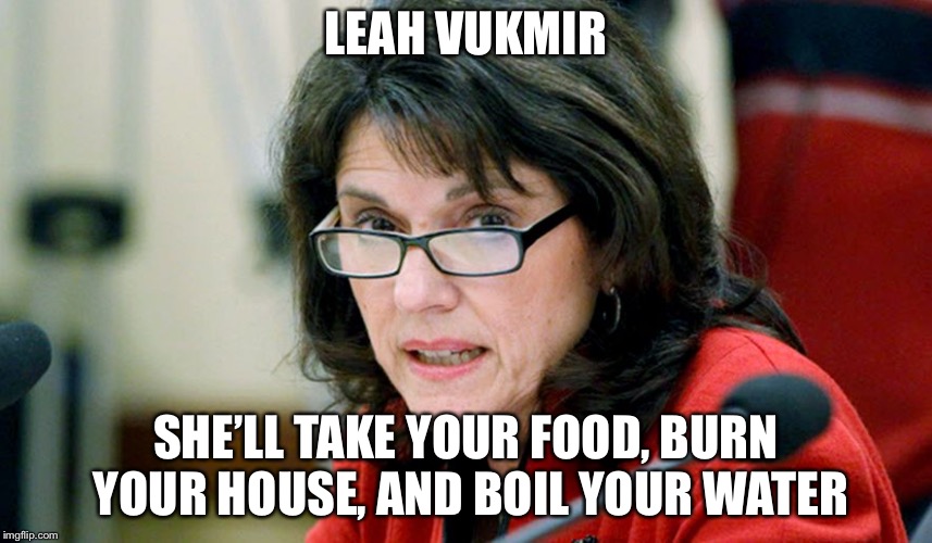 Leah Vukmir: She’s Not For Us (Wisconsin Election Overdramatized Political Campaign) | LEAH VUKMIR; SHE’LL TAKE YOUR FOOD, BURN YOUR HOUSE, AND BOIL YOUR WATER | image tagged in leah vukmir,political,wisconsin,election | made w/ Imgflip meme maker