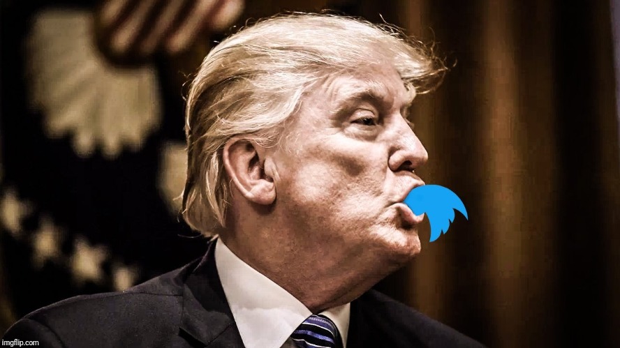Trump Twitter | . | image tagged in trump twitter | made w/ Imgflip meme maker