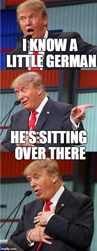 Trump knows a little German | I KNOW A LITTLE GERMAN; HE'S SITTING OVER THERE | image tagged in bad pun trump,german,germany | made w/ Imgflip meme maker
