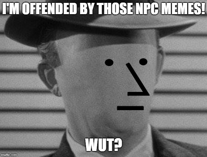 NPC PC | I'M OFFENDED BY THOSE NPC MEMES! WUT? | image tagged in npc,political correctness,offended | made w/ Imgflip meme maker