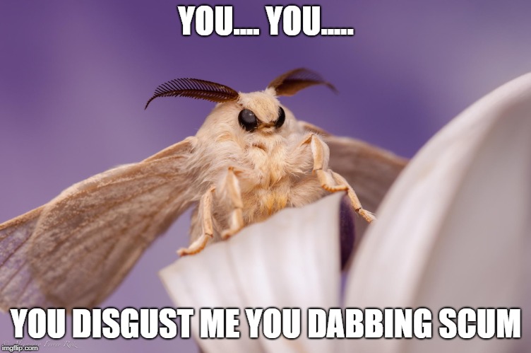 outraged moth | YOU.... YOU..... YOU DISGUST ME YOU DABBING SCUM | image tagged in outraged moth | made w/ Imgflip meme maker