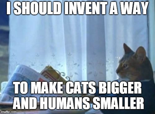 I Should Buy A Boat Cat Meme | I SHOULD INVENT A WAY TO MAKE CATS BIGGER AND HUMANS SMALLER | image tagged in memes,i should buy a boat cat | made w/ Imgflip meme maker