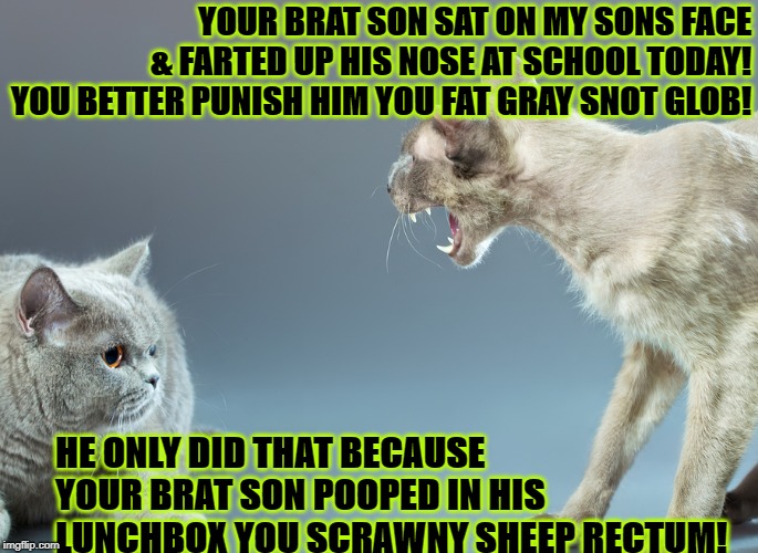 YOUR BRAT SON SAT ON MY SONS FACE & FARTED UP HIS NOSE AT SCHOOL TODAY! YOU BETTER PUNISH HIM YOU FAT GRAY SNOT GLOB! HE ONLY DID THAT BECAUSE YOUR BRAT SON POOPED IN HIS LUNCHBOX YOU SCRAWNY SHEEP RECTUM! | image tagged in farting brat | made w/ Imgflip meme maker