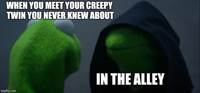 Evil Kermit Meme | WHEN YOU MEET YOUR CREEPY TWIN YOU NEVER KNEW ABOUT; IN THE ALLEY | image tagged in memes,evil kermit | made w/ Imgflip meme maker