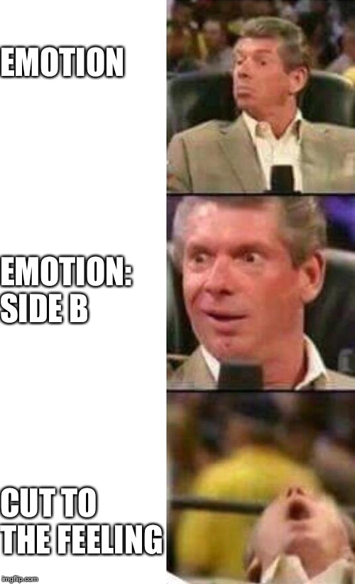 Vince McMahon  | EMOTION; EMOTION: SIDE B; CUT TO THE FEELING | image tagged in vince mcmahon | made w/ Imgflip meme maker