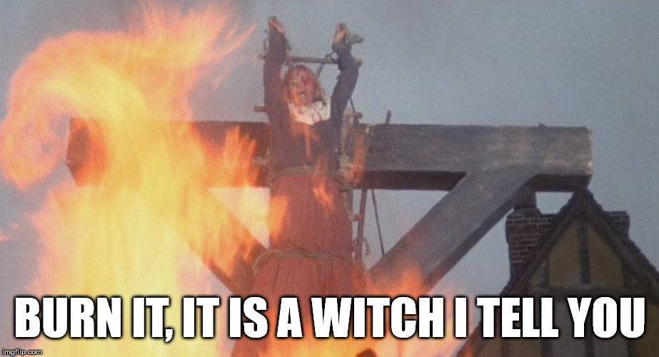 burn witch | BURN IT, IT IS A WITCH I TELL YOU | image tagged in burn witch | made w/ Imgflip meme maker