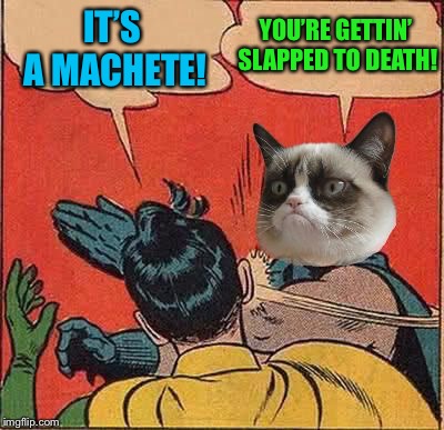 Grumpy Cat Slapping Robin | IT’S A MACHETE! YOU’RE GETTIN’ SLAPPED TO DEATH! | image tagged in grumpy cat slapping robin | made w/ Imgflip meme maker