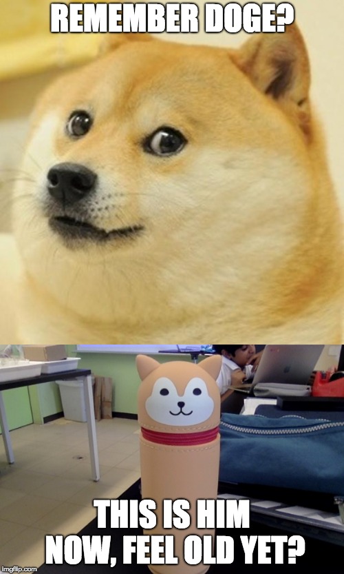 hmmmm.......... | REMEMBER DOGE? THIS IS HIM NOW, FEEL OLD YET? | image tagged in memes,doge,feel old yet | made w/ Imgflip meme maker