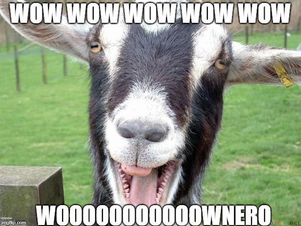 Funny Goat | WOW WOW WOW WOW WOW; WOOOOOOOOOOOWNERO | image tagged in funny goat | made w/ Imgflip meme maker
