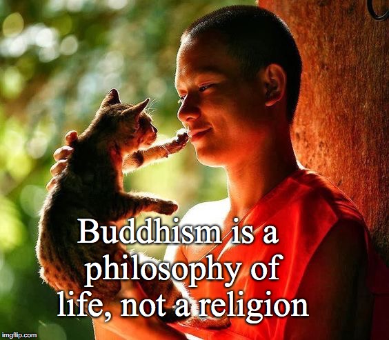 Buddhism is a philosophy of life, not a religion | made w/ Imgflip meme maker