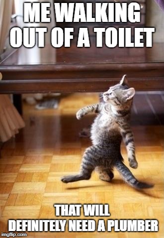 Cool Cat Stroll | ME WALKING OUT OF A TOILET; THAT WILL DEFINITELY NEED A PLUMBER | image tagged in memes,cool cat stroll | made w/ Imgflip meme maker