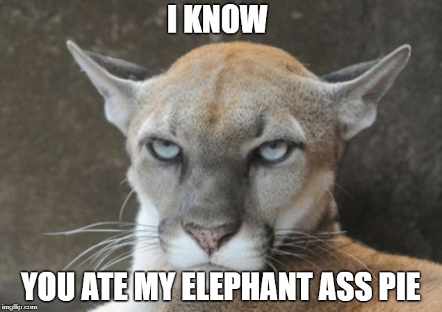 Annoyed Puma | I KNOW; YOU ATE MY ELEPHANT ASS PIE | image tagged in annoyed puma | made w/ Imgflip meme maker