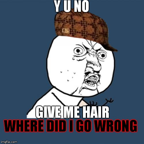 Y U No Meme | Y U NO; GIVE ME HAIR; WHERE DID I GO WRONG | image tagged in memes,y u no,scumbag | made w/ Imgflip meme maker