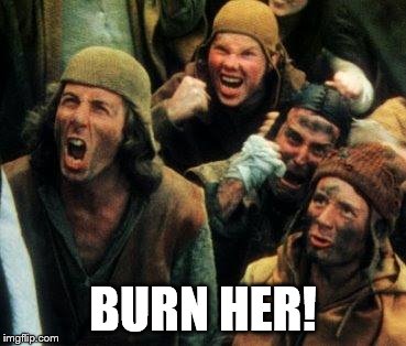 BURN HER | BURN HER! | image tagged in burn her | made w/ Imgflip meme maker