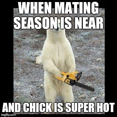 Chainsaw Bear | WHEN MATING SEASON IS NEAR; AND CHICK IS SUPER HOT | image tagged in memes,chainsaw bear | made w/ Imgflip meme maker