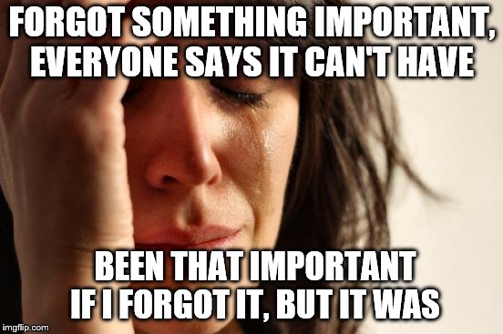 Why does this happen every time?? | FORGOT SOMETHING IMPORTANT, EVERYONE SAYS IT CAN'T HAVE; BEEN THAT IMPORTANT IF I FORGOT IT, BUT IT WAS | image tagged in memes,first world problems,forget,important | made w/ Imgflip meme maker