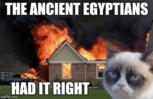 Burn Kitty Meme | THE ANCIENT EGYPTIANS HAD IT RIGHT | image tagged in memes,burn kitty,grumpy cat | made w/ Imgflip meme maker