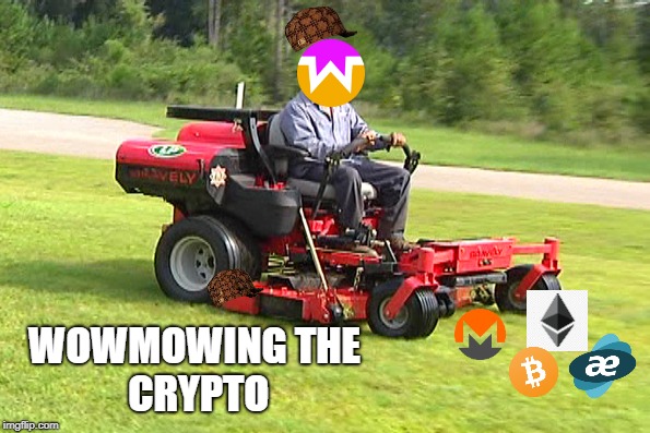 Landscaper on a Riding Lawn Mower | WOWMOWING
THE CRYPTO | image tagged in landscaper on a riding lawn mower,scumbag | made w/ Imgflip meme maker