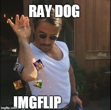 salt bae | RAY DOG; IMGFLIP | image tagged in salt bae | made w/ Imgflip meme maker