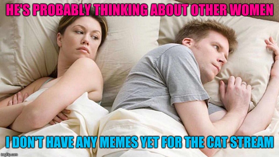 I Bet He's Thinking About Other Women | HE'S PROBABLY THINKING ABOUT OTHER WOMEN; I DON'T HAVE ANY MEMES YET FOR THE CAT STREAM | image tagged in i bet he's thinking about other women | made w/ Imgflip meme maker