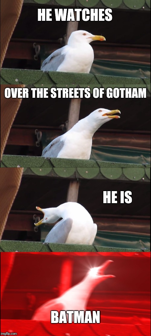 Inhaling Seagull | HE WATCHES; OVER THE STREETS OF GOTHAM; HE IS; BATMAN | image tagged in memes,inhaling seagull | made w/ Imgflip meme maker