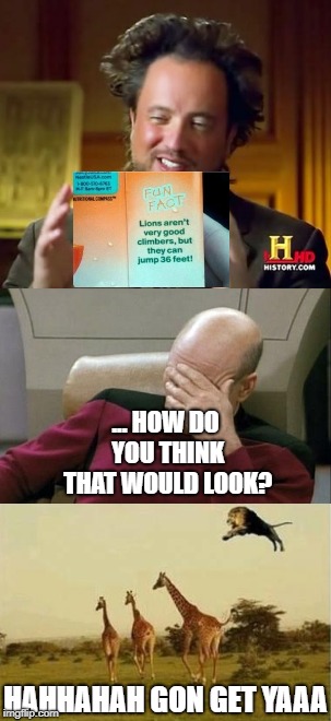 Lions can jump high :) | ... HOW DO YOU THINK THAT WOULD LOOK? HAHHAHAH GON GET YAAA | image tagged in lion,jumping,bullshit,captain picard facepalm,ancient aliens,giraffe | made w/ Imgflip meme maker