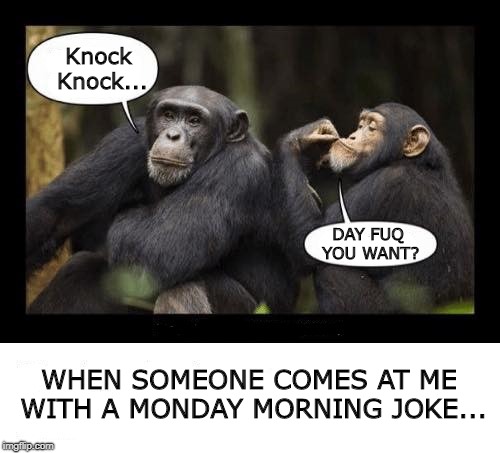 monkey joke Memes & GIFs - Imgflip