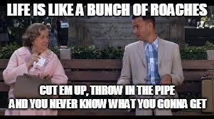 forrest gump box of chocolates | LIFE IS LIKE A BUNCH OF ROACHES; CUT EM UP, THROW IN THE PIPE AND YOU NEVER KNOW WHAT YOU GONNA GET | image tagged in forrest gump box of chocolates | made w/ Imgflip meme maker