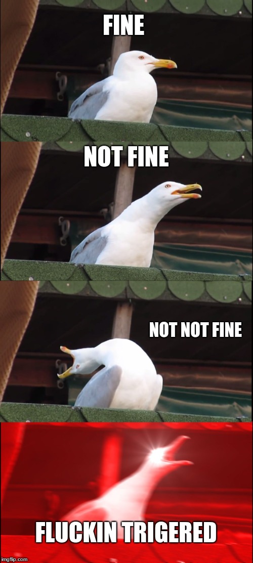 Inhaling Seagull Meme | FINE; NOT FINE; NOT NOT FINE; FLUCKIN TRIGERED | image tagged in memes,inhaling seagull | made w/ Imgflip meme maker