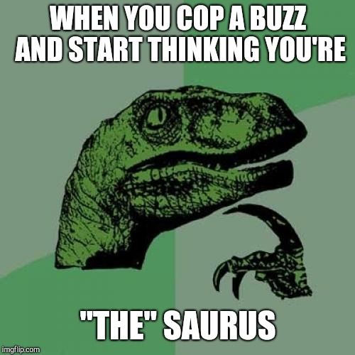 Philosoraptor Meme | WHEN YOU COP A BUZZ AND START THINKING YOU'RE "THE" SAURUS | image tagged in memes,philosoraptor | made w/ Imgflip meme maker