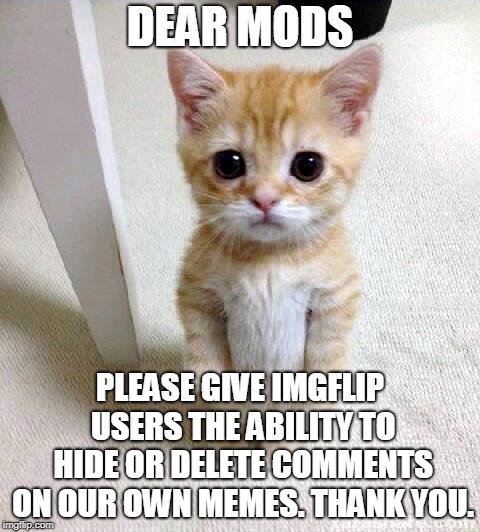 This would save so much grief. | DEAR MODS; PLEASE GIVE IMGFLIP USERS THE ABILITY TO HIDE OR DELETE COMMENTS ON OUR OWN MEMES. THANK YOU. | image tagged in memes,cute cat,imgflip,suggestions,delete comments,let's improve imgflip together | made w/ Imgflip meme maker