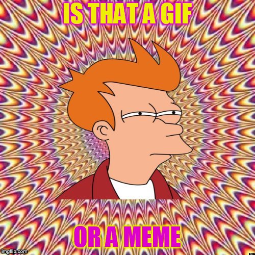 Fried Fry | IS THAT A GIF OR A MEME | image tagged in fried fry | made w/ Imgflip meme maker