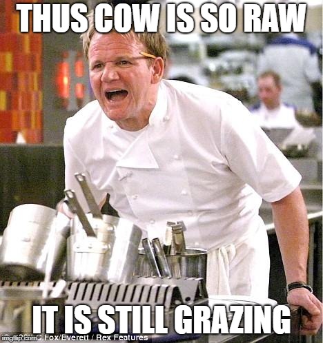 Chef Gordon Ramsay Meme |  THUS COW IS SO RAW; IT IS STILL GRAZING | image tagged in memes,chef gordon ramsay | made w/ Imgflip meme maker