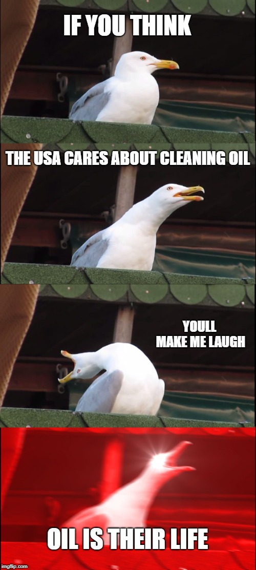 Inhaling Seagull Meme | IF YOU THINK; THE USA CARES ABOUT CLEANING OIL; YOULL MAKE ME LAUGH; OIL IS THEIR LIFE | image tagged in memes,inhaling seagull | made w/ Imgflip meme maker